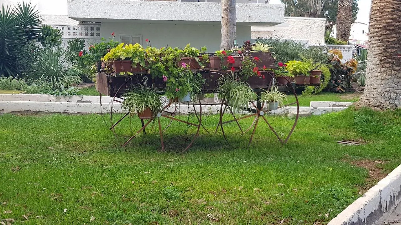 Eureka Apartment With Free Wifi Costa Del Silencio
